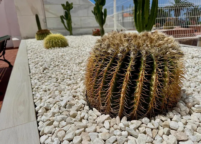 San Eugenio Stunning With Pool Tenerife 아파트