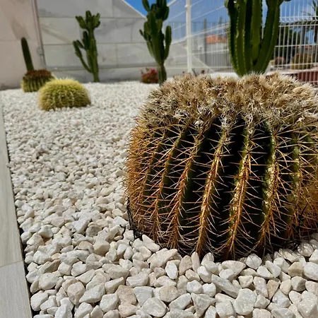 San Eugenio Stunning With Pool Tenerife Appartement